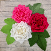 紙花-環保手作皺紋紙牡丹花、玫瑰花、店面貼牆